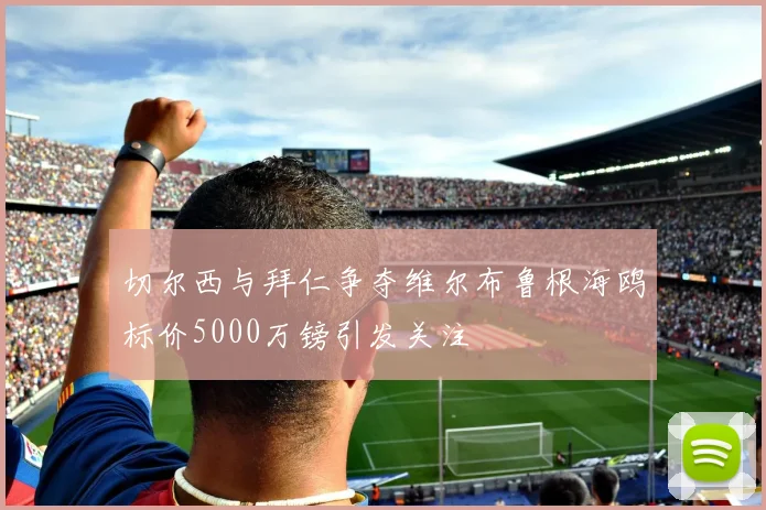 切尔西与拜仁争夺维尔布鲁根海鸥标价5000万镑引发关注